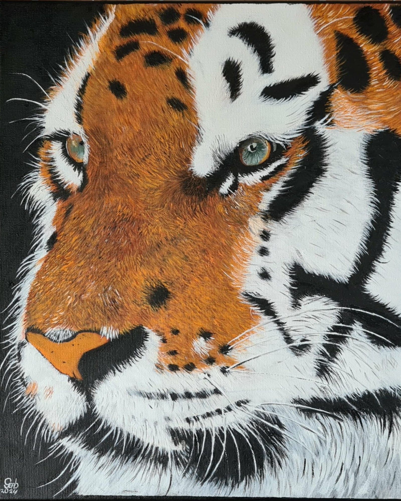 Tijger