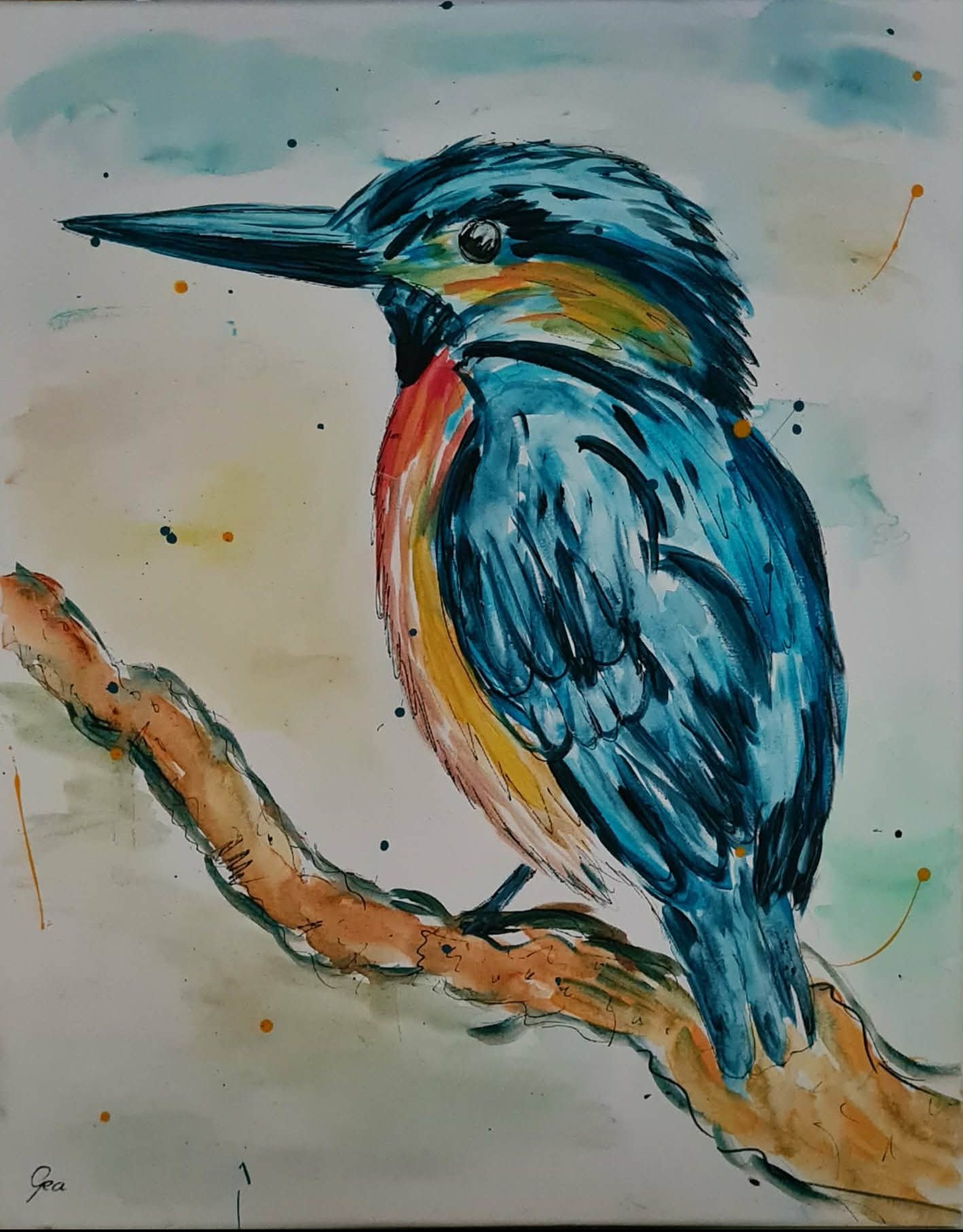 ijsvogel