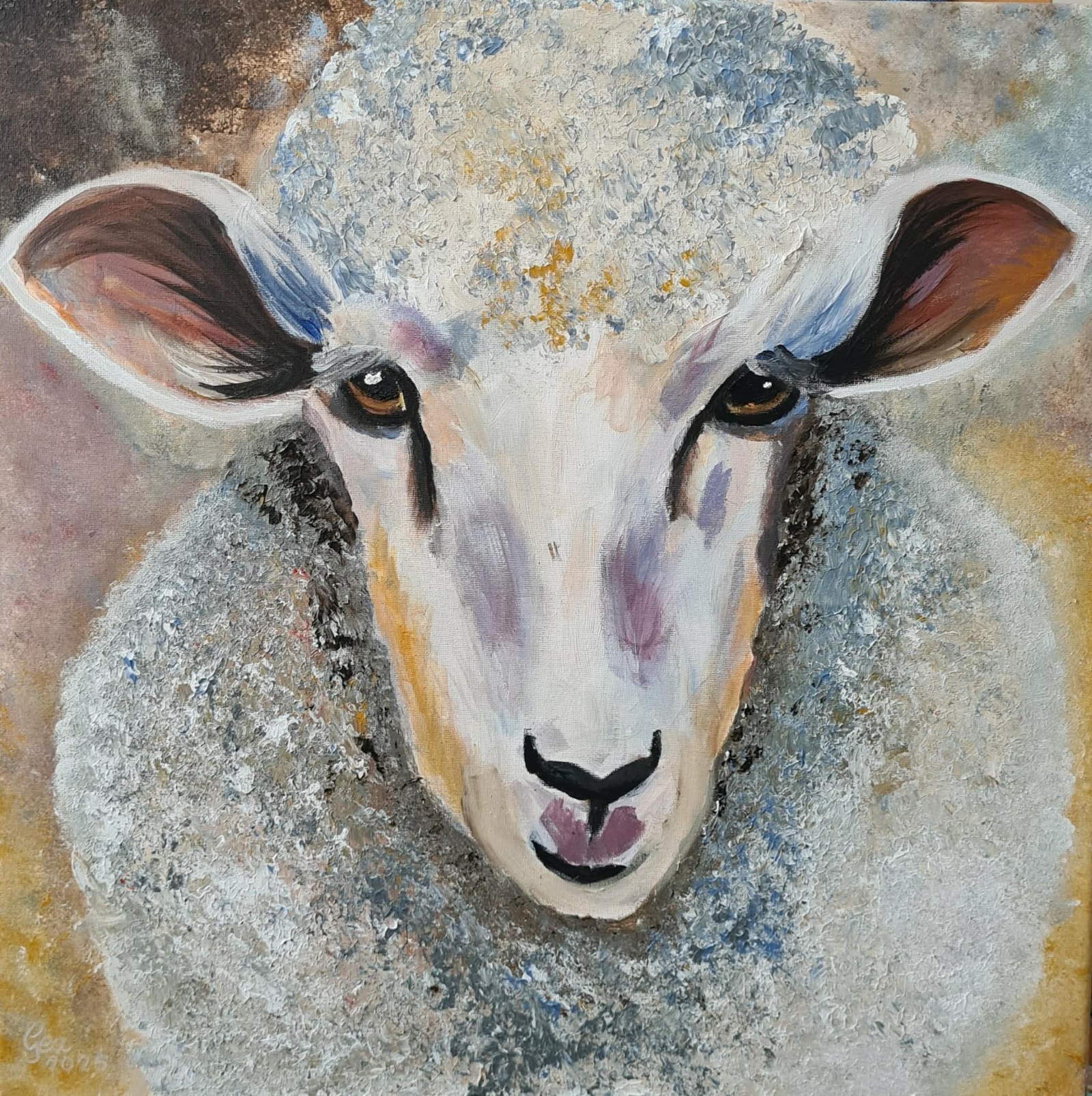 Schaap