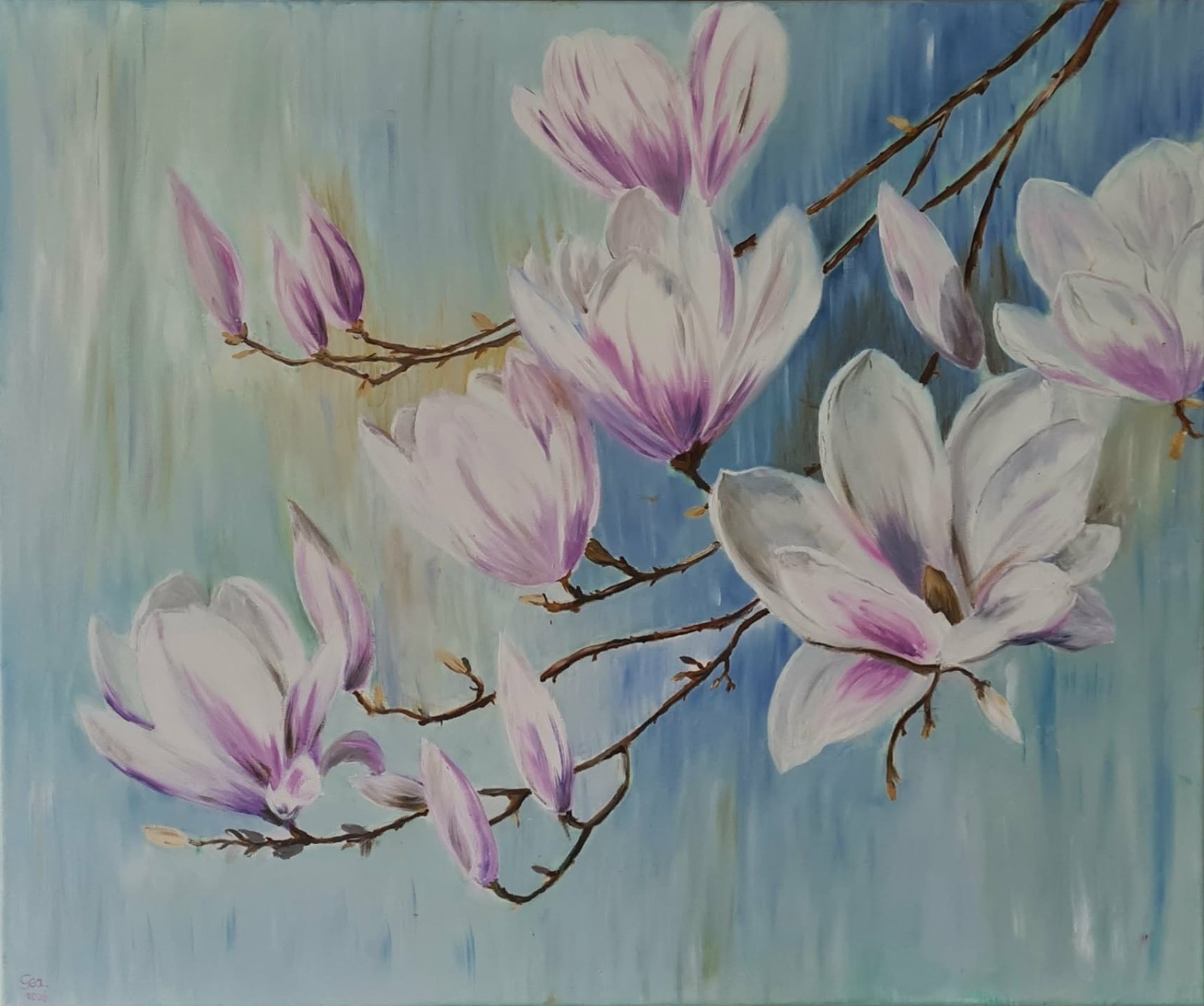 Magnolia
