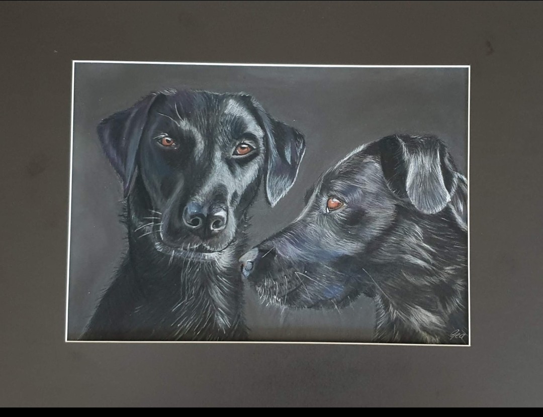 zwarte honden